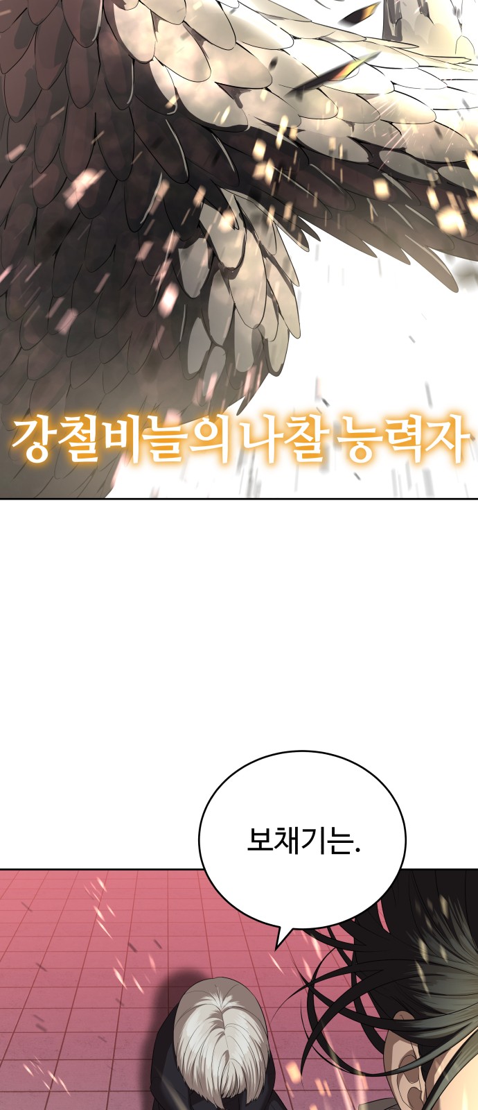43 페이지