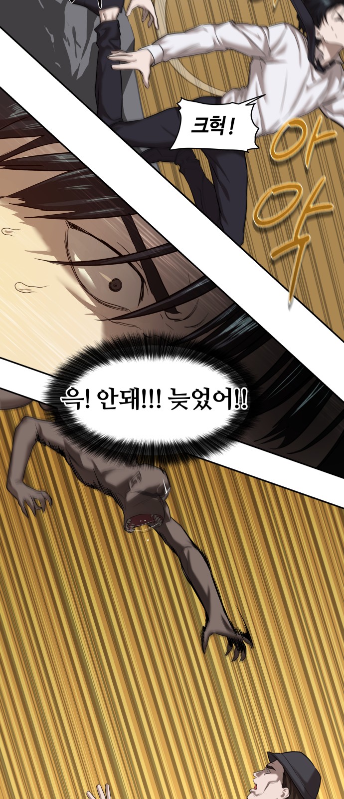 46 페이지