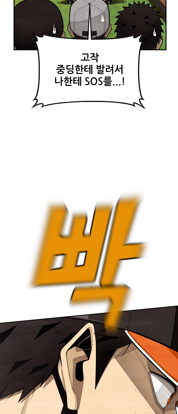 50 페이지