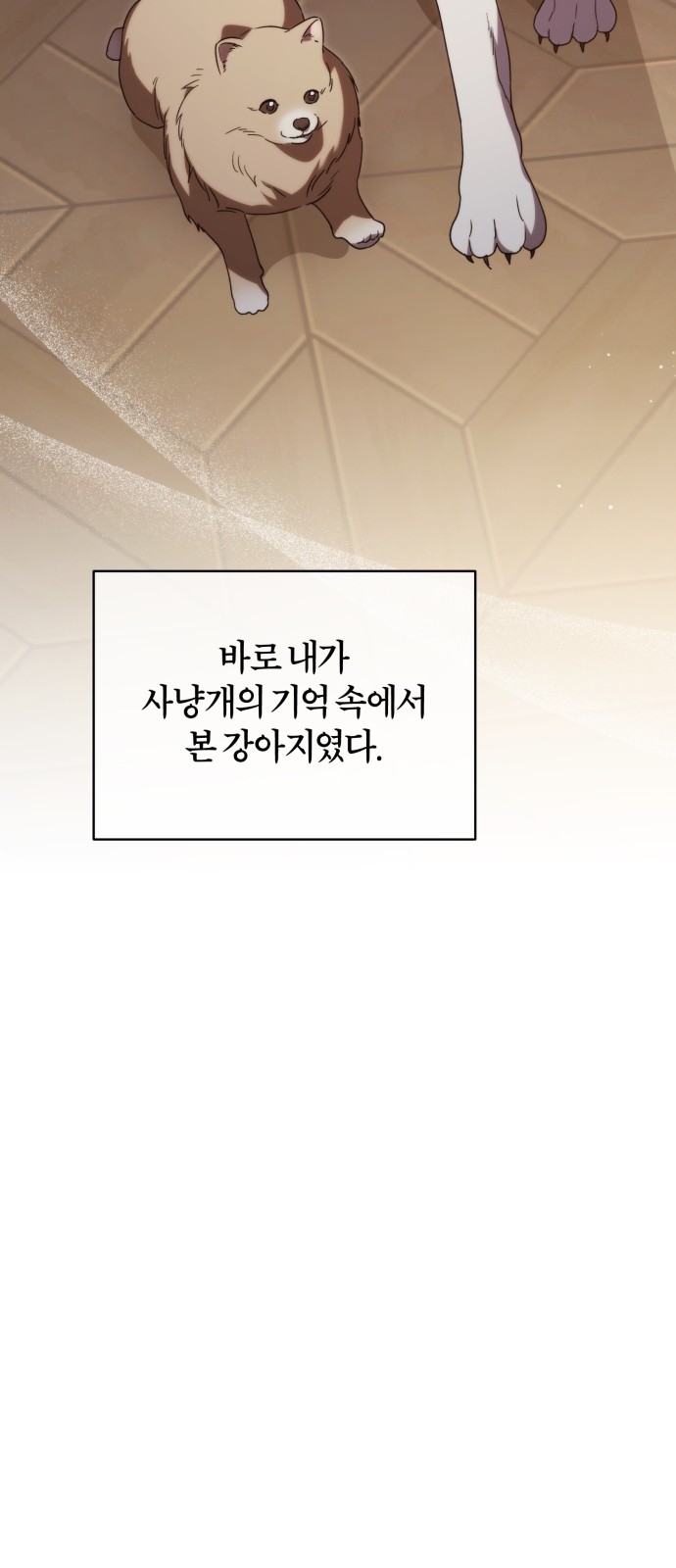 20 페이지