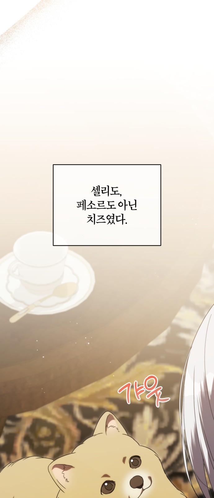 79 페이지