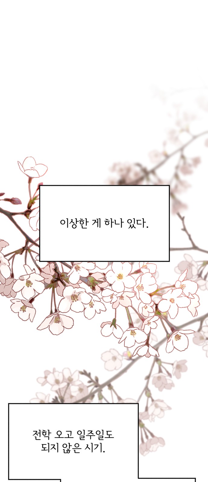 70 페이지