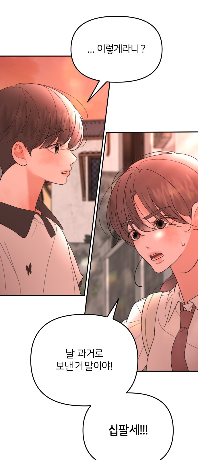20 페이지