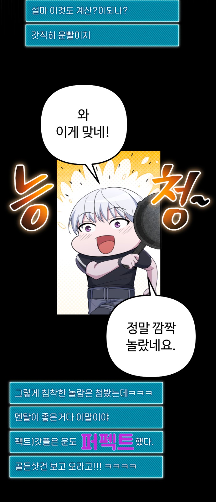 66 페이지