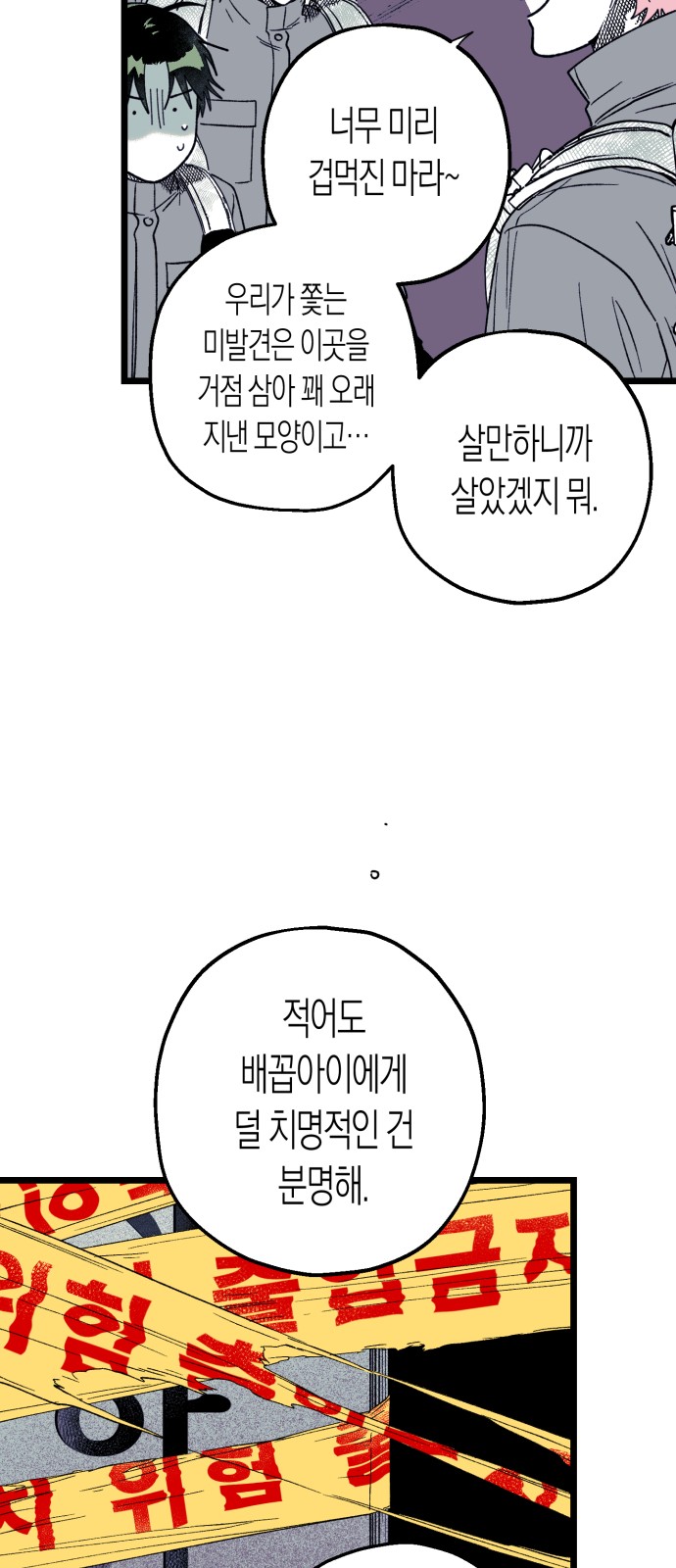 19 페이지