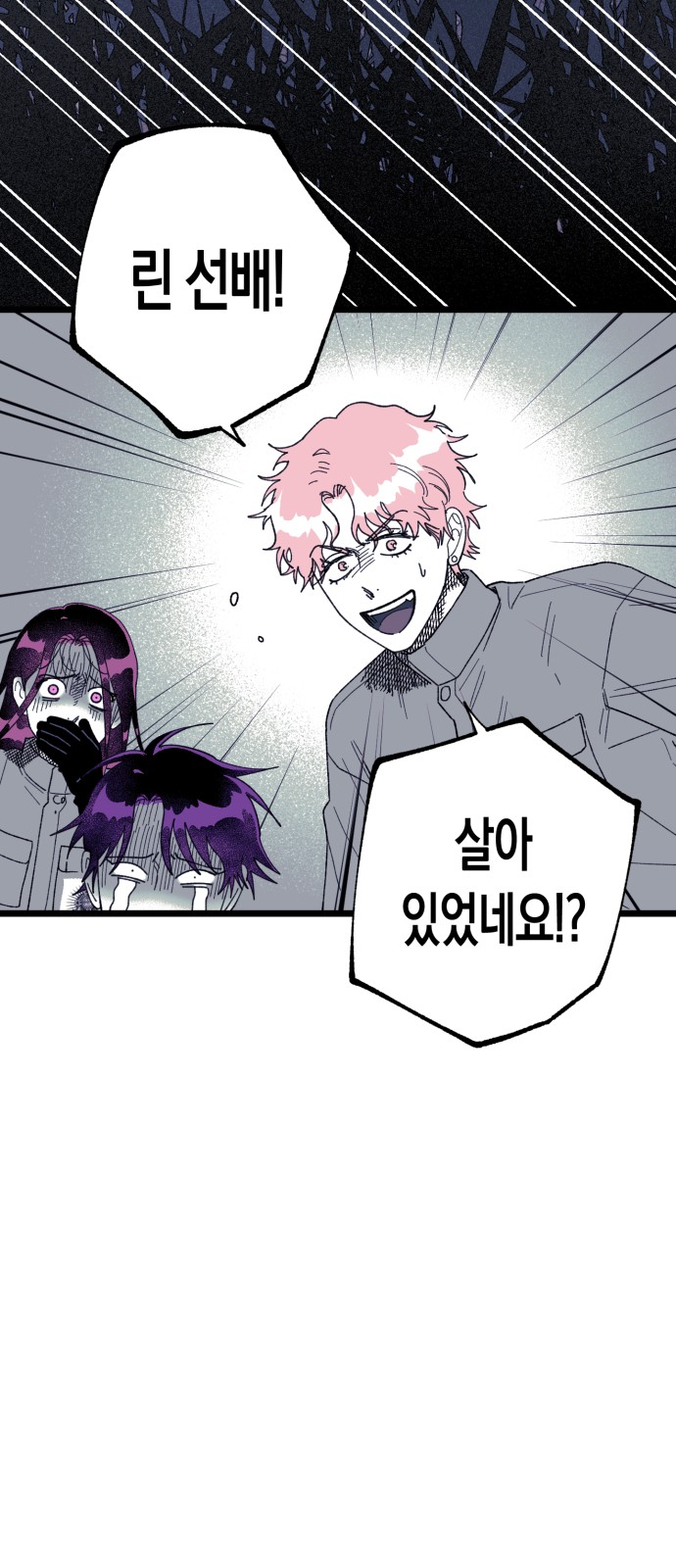 60 페이지