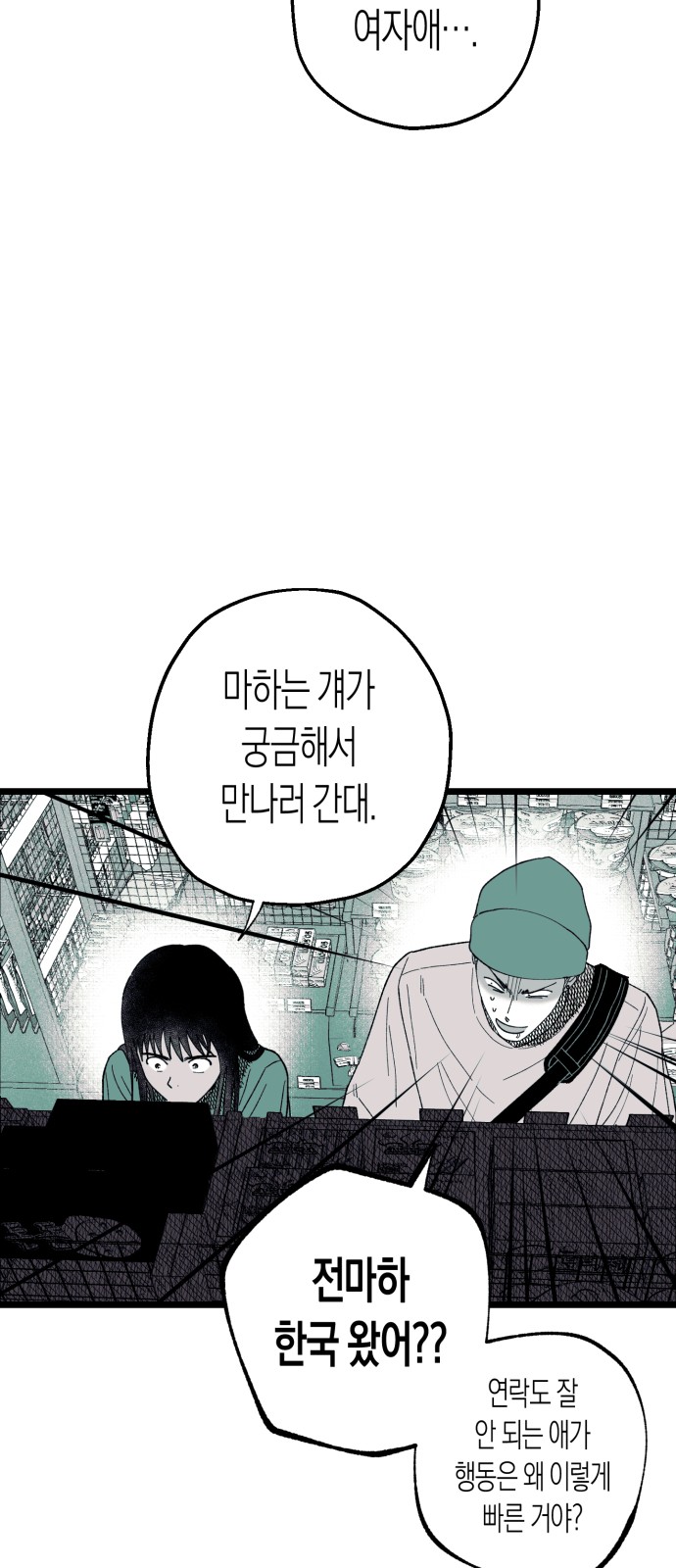50 페이지