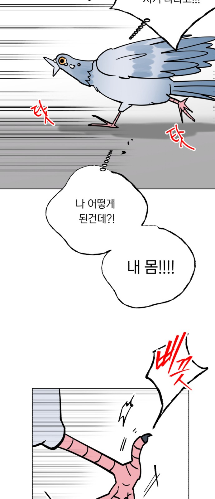 42 페이지