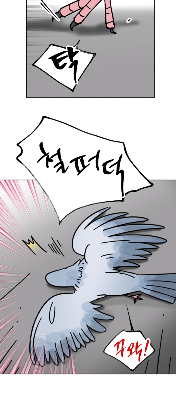 43 페이지