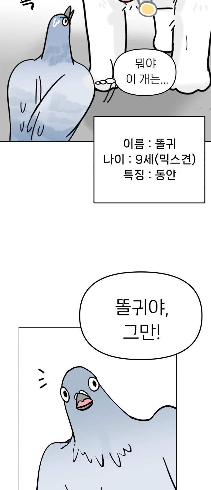 56 페이지