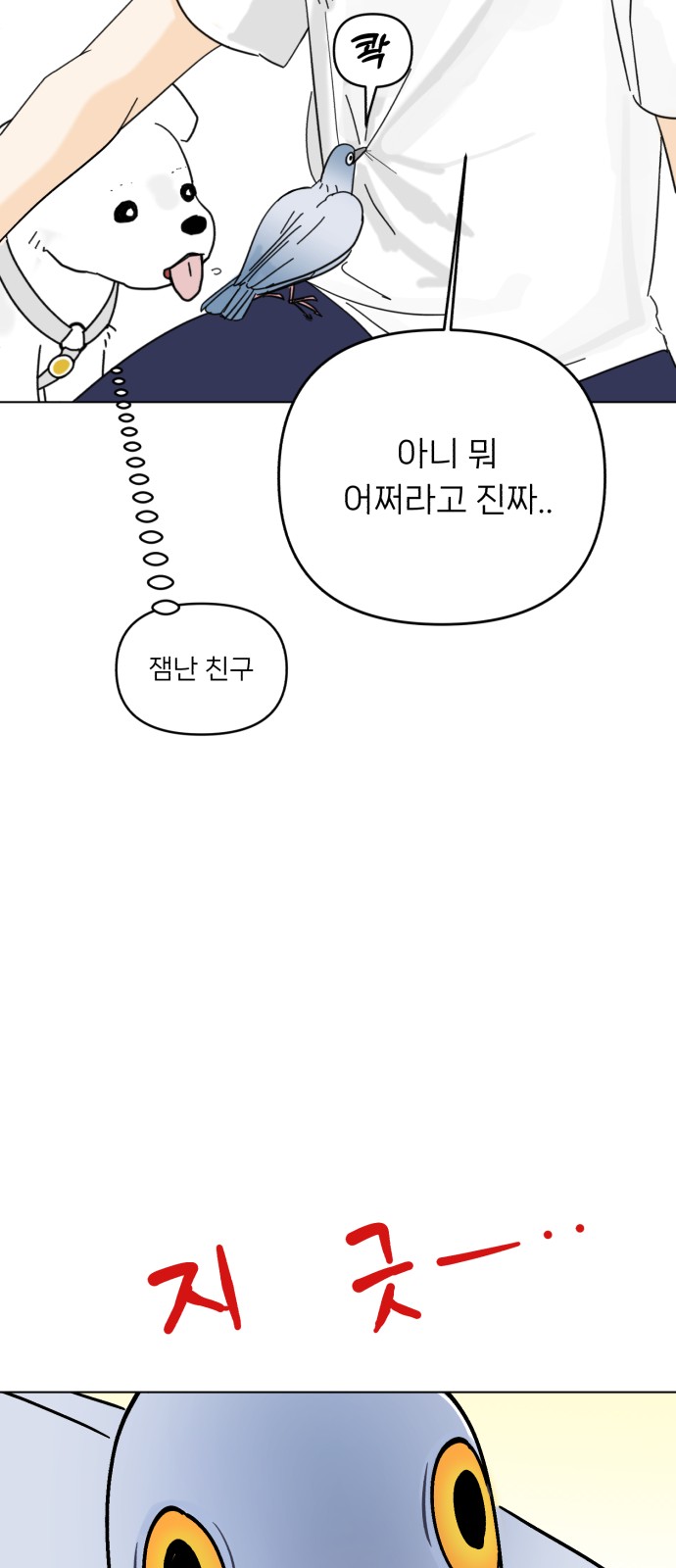70 페이지