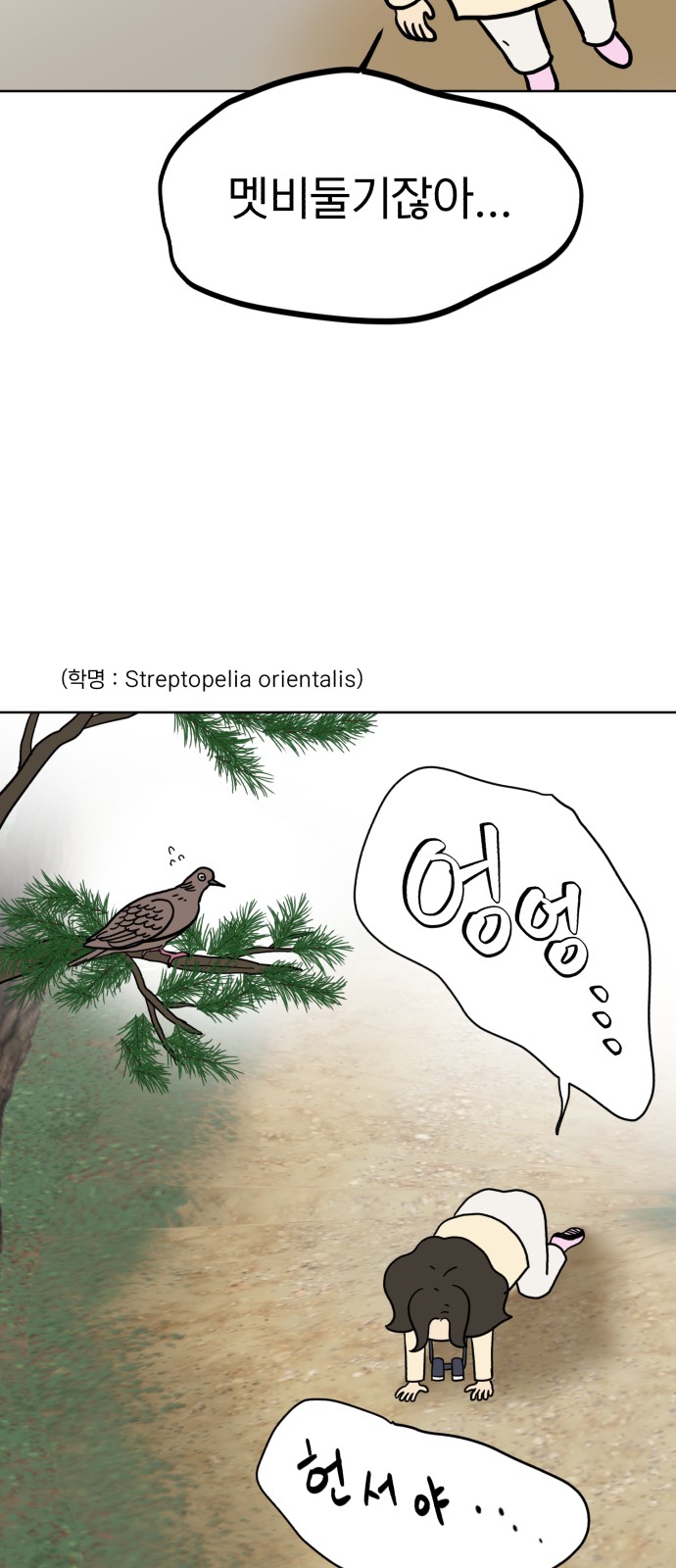 33 페이지