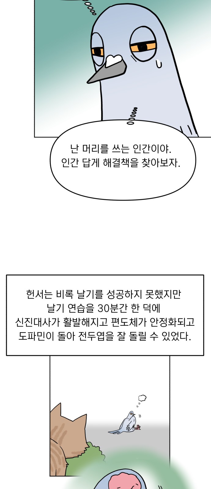 27 페이지