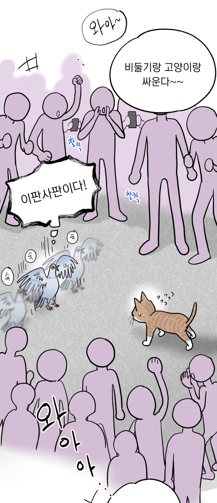 34 페이지