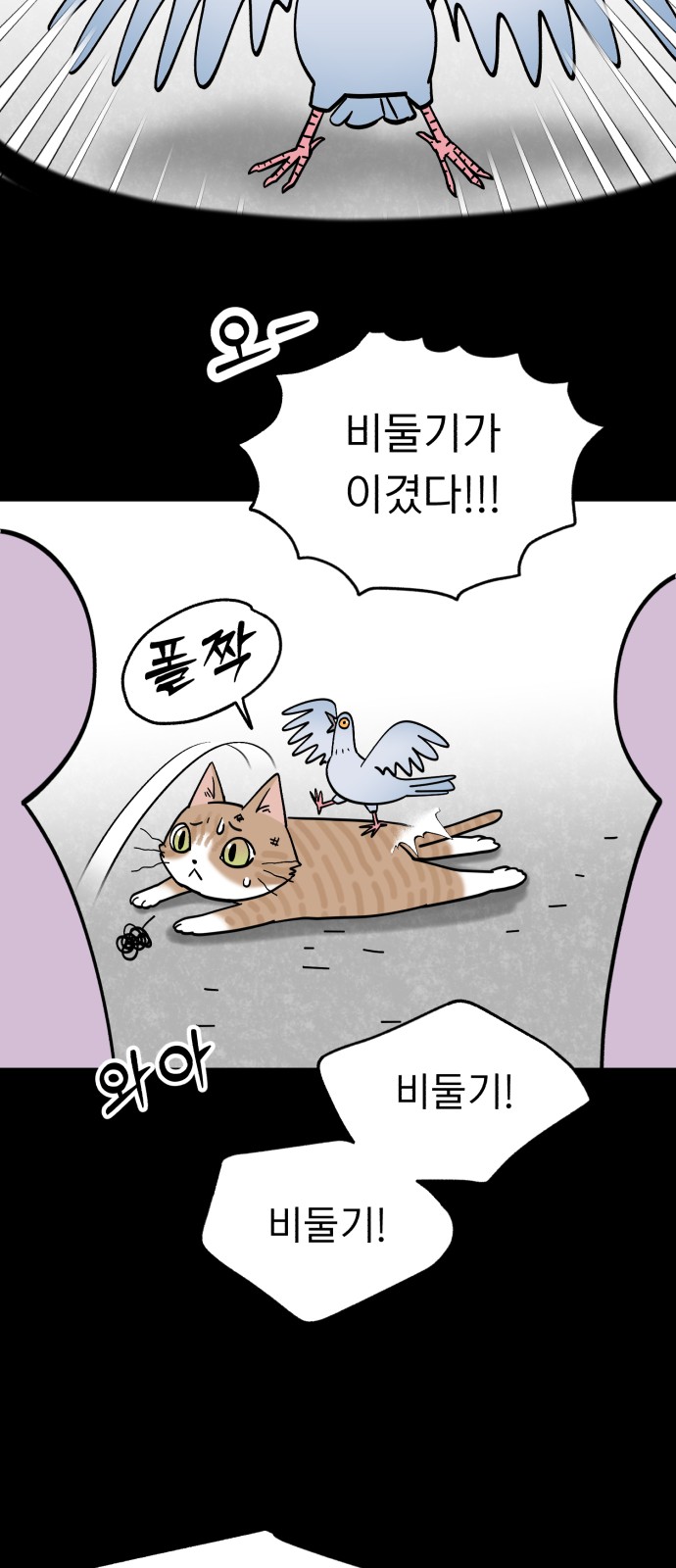 48 페이지