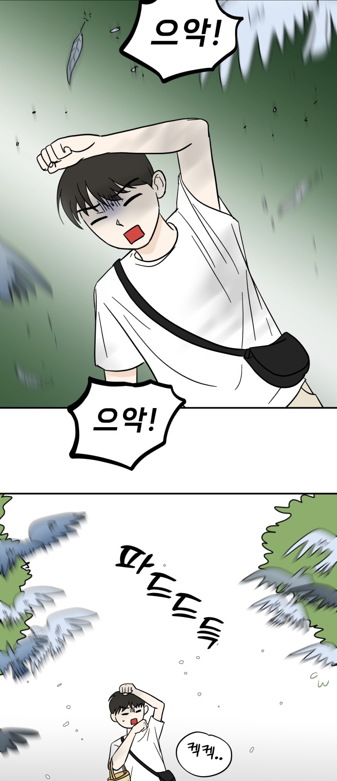 27 페이지