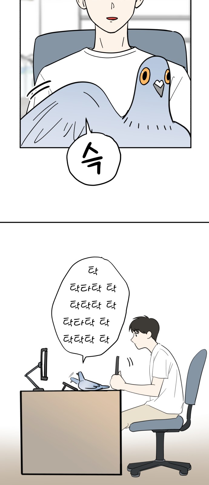 15 페이지