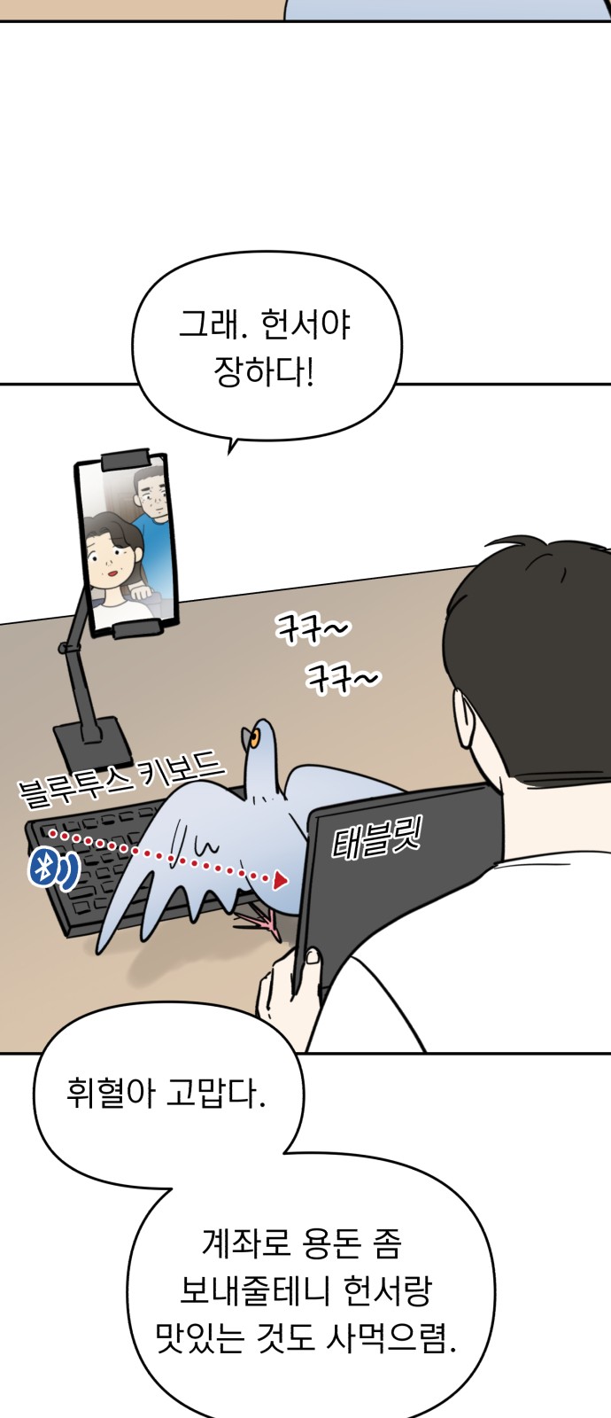 17 페이지