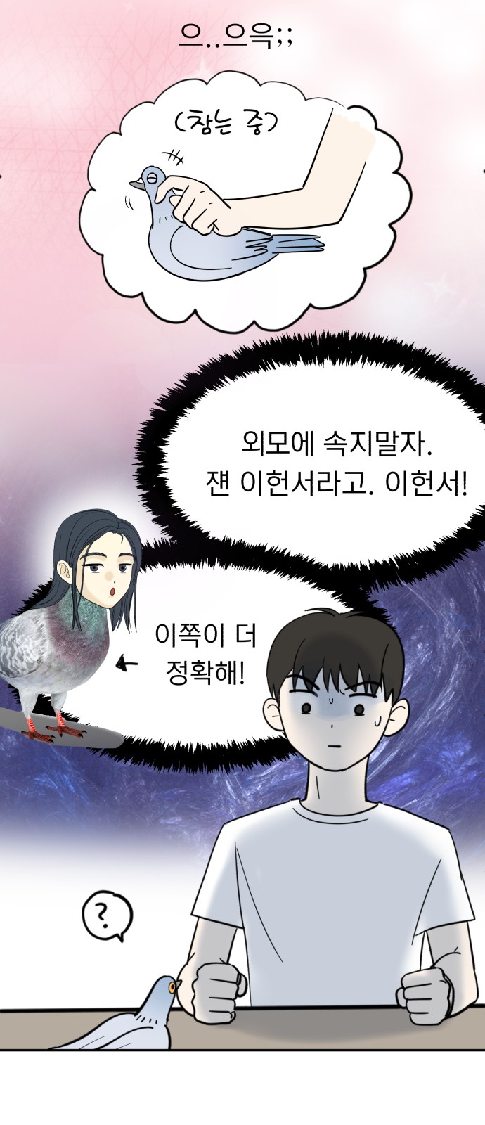 27 페이지