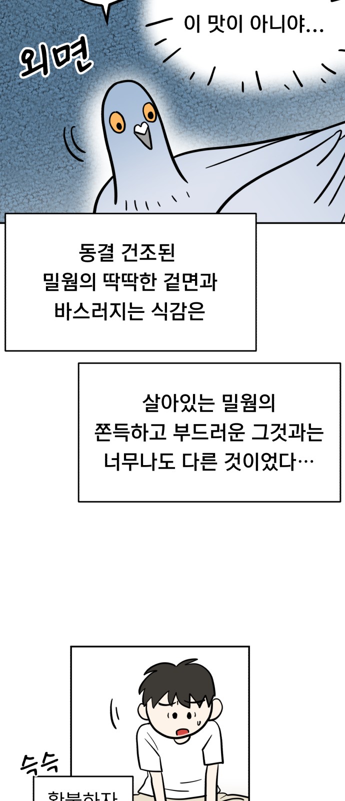 49 페이지