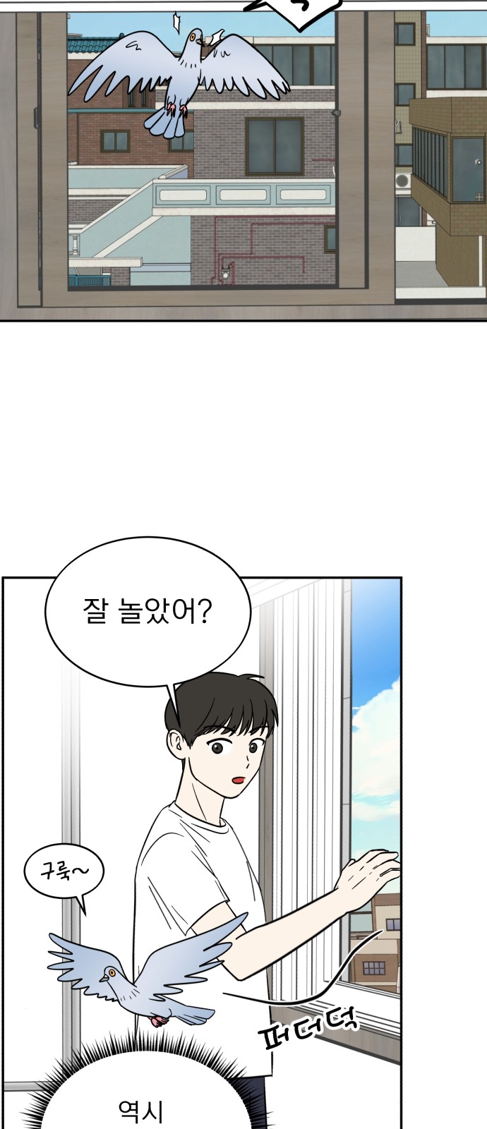 16 페이지