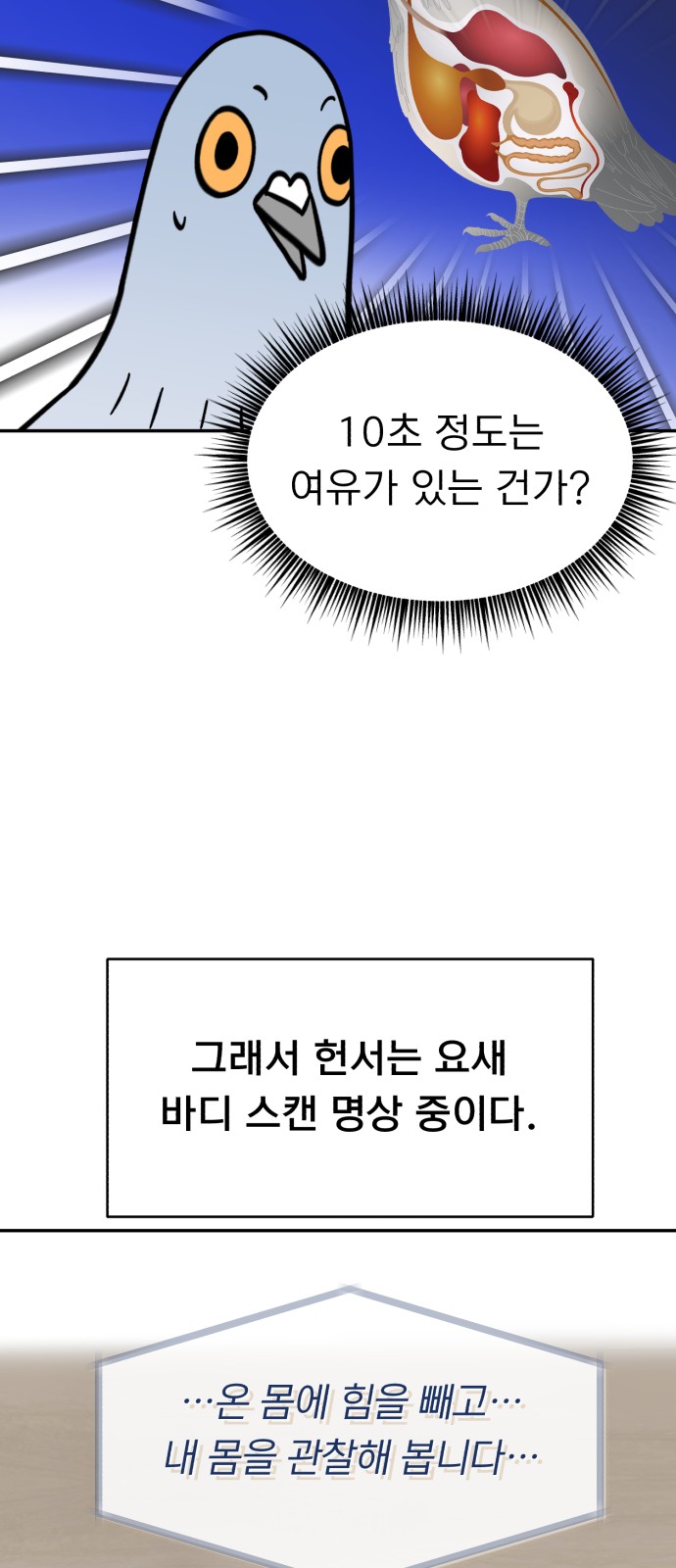 29 페이지