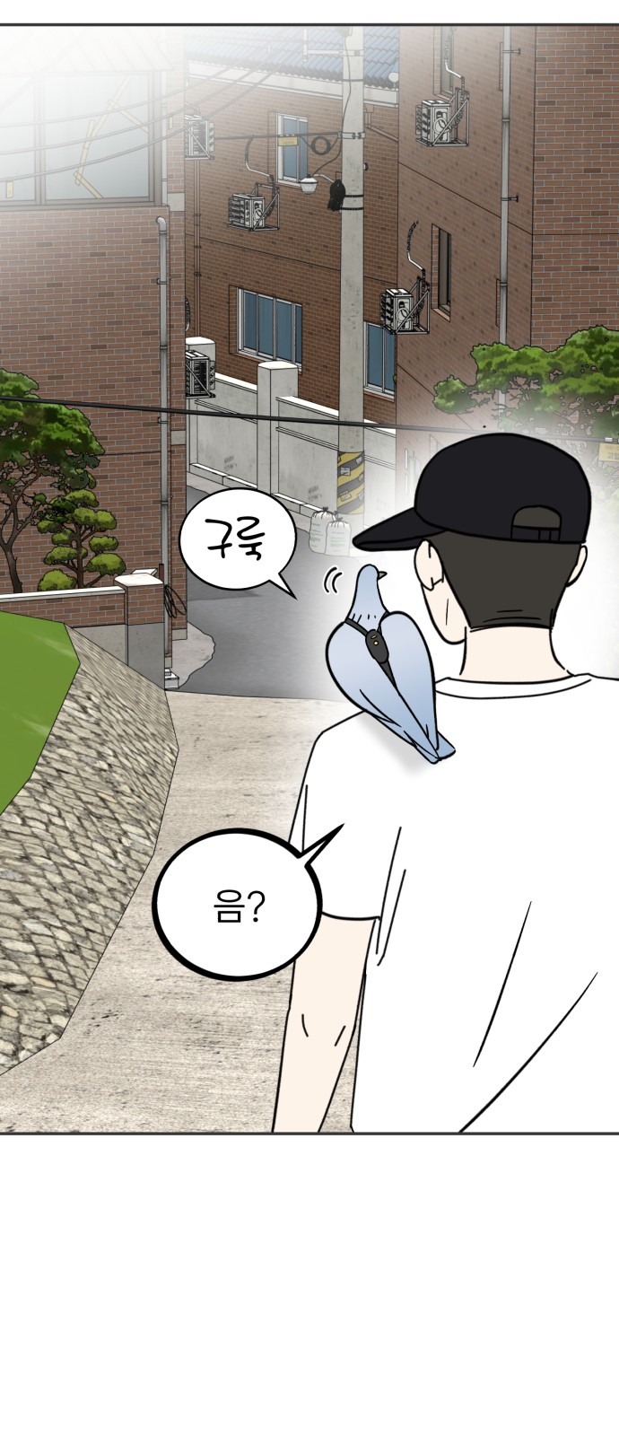 5 페이지