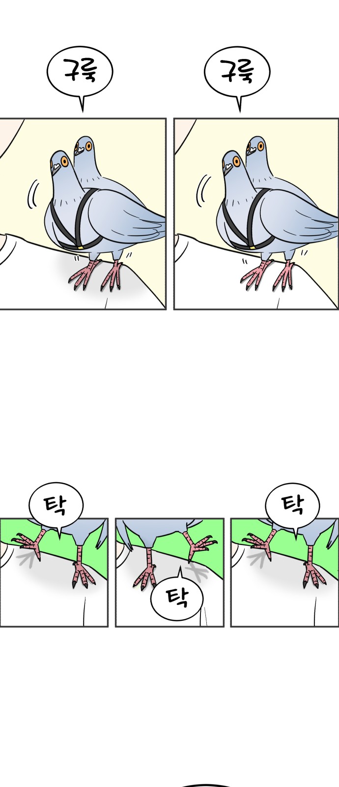 6 페이지