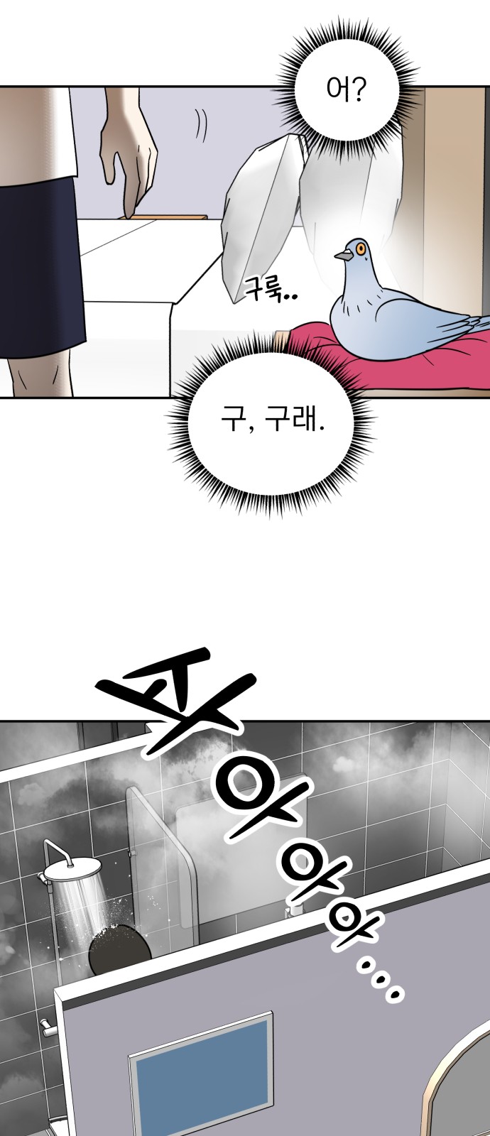 12 페이지