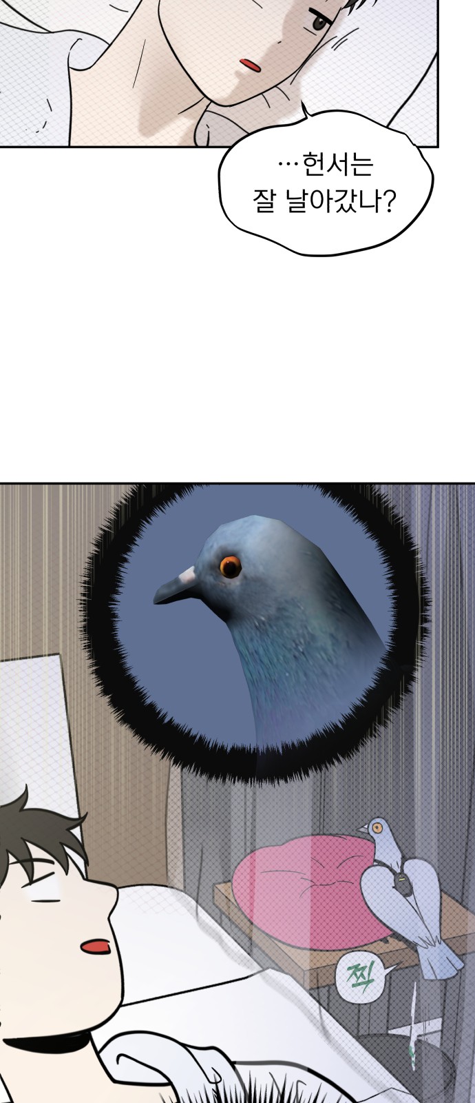 42 페이지