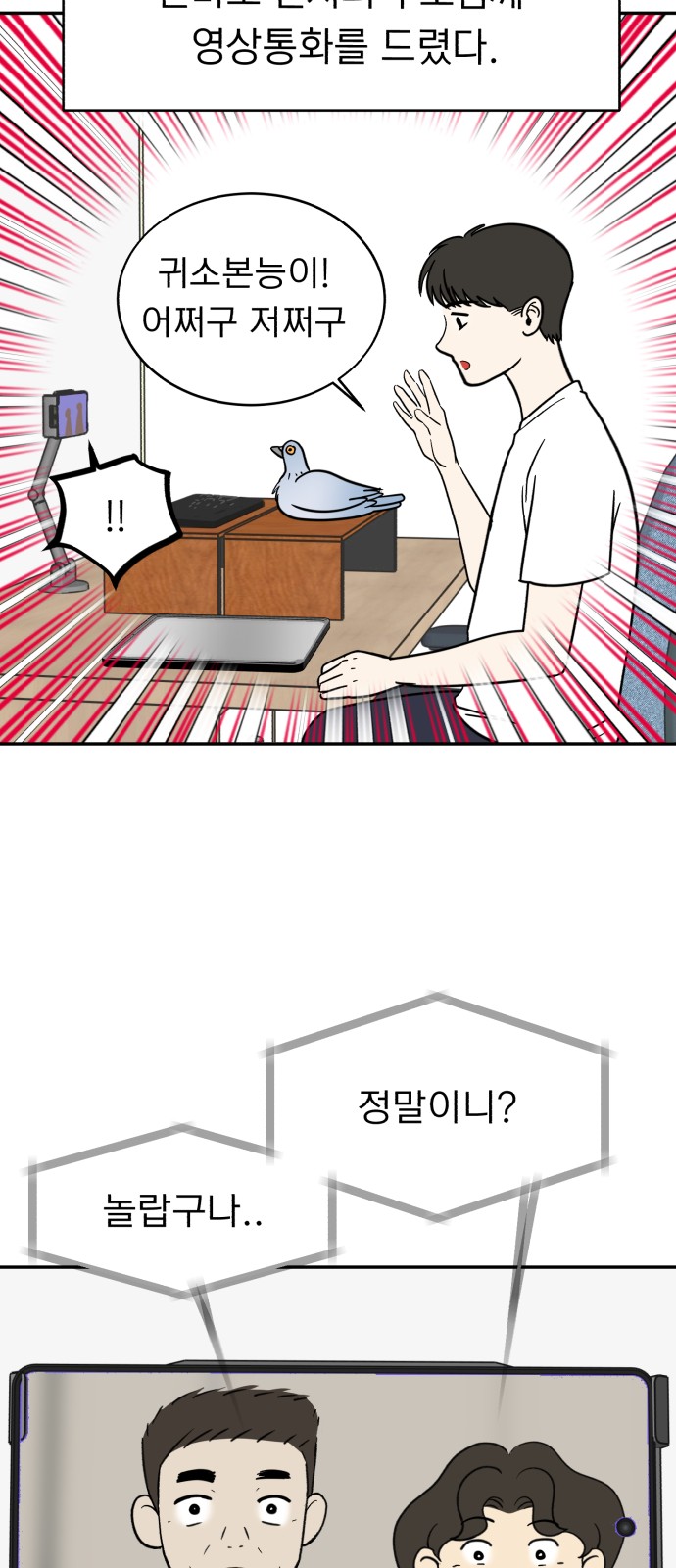 48 페이지