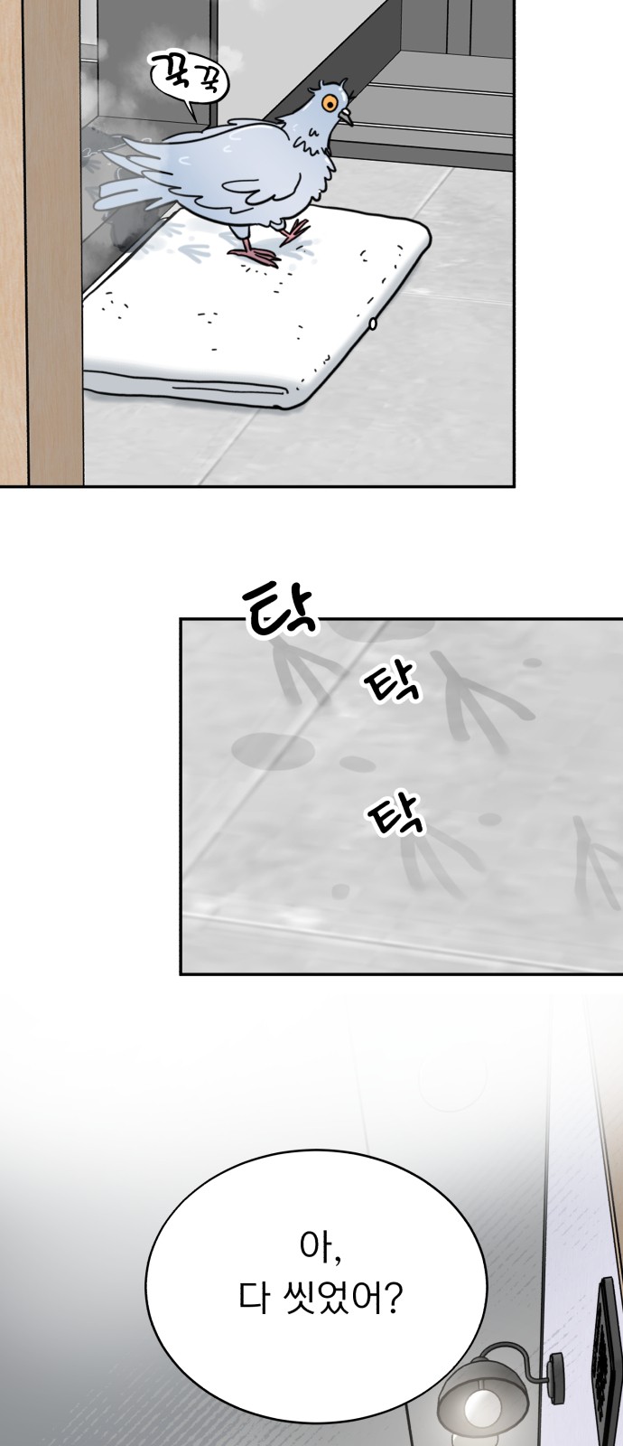 5 페이지