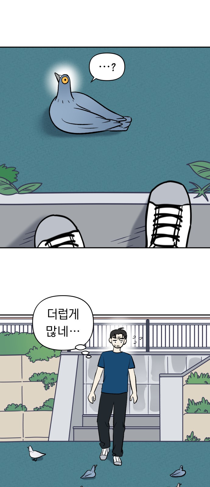 21 페이지