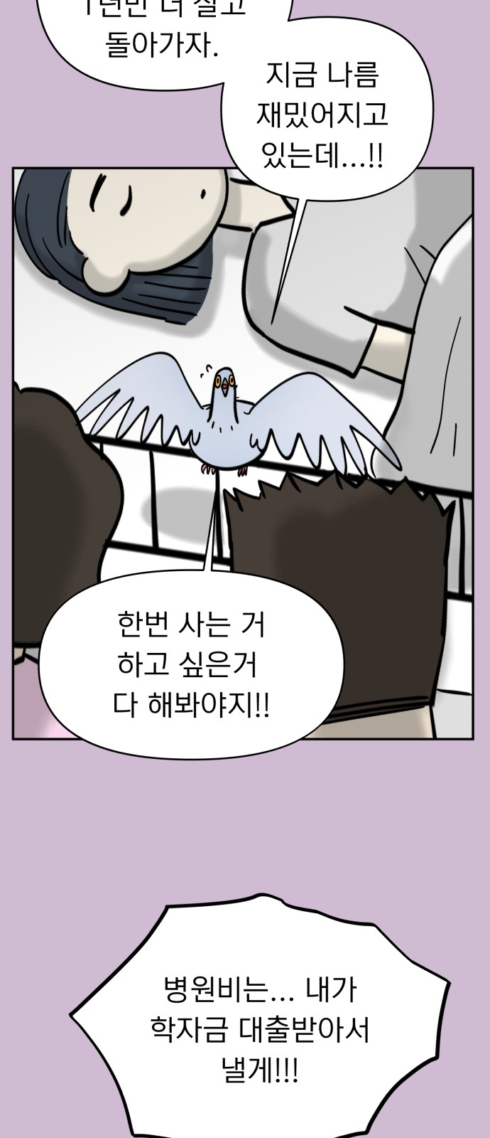 41 페이지
