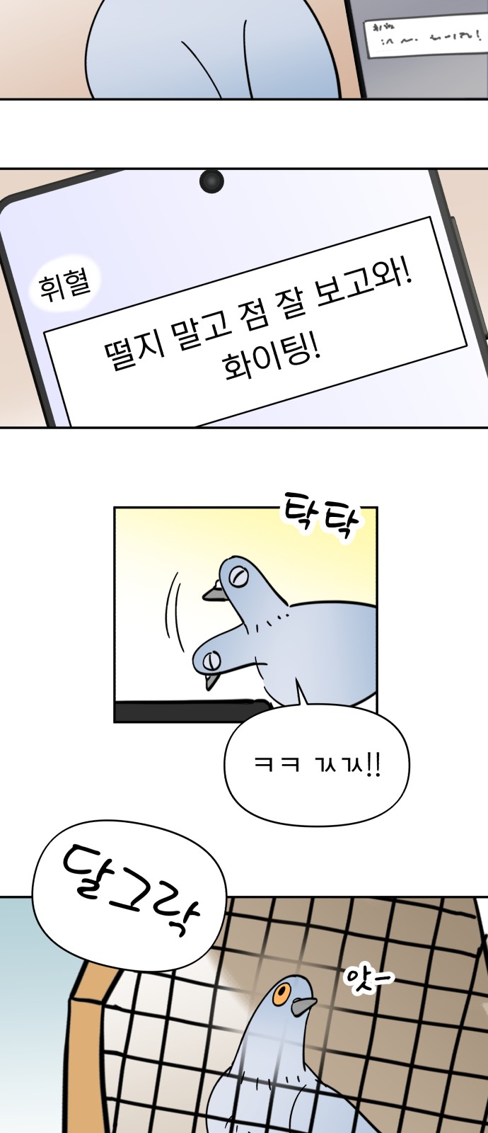 44 페이지