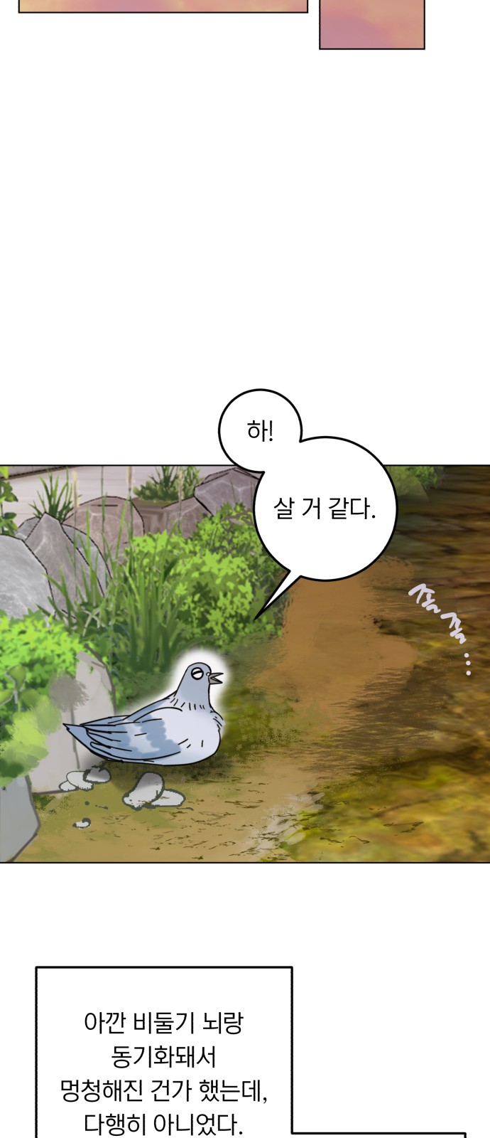 35 페이지