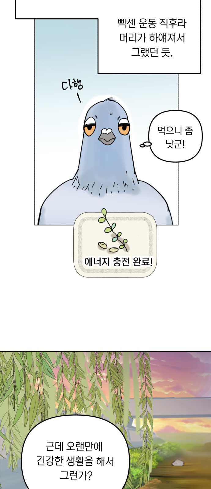 36 페이지