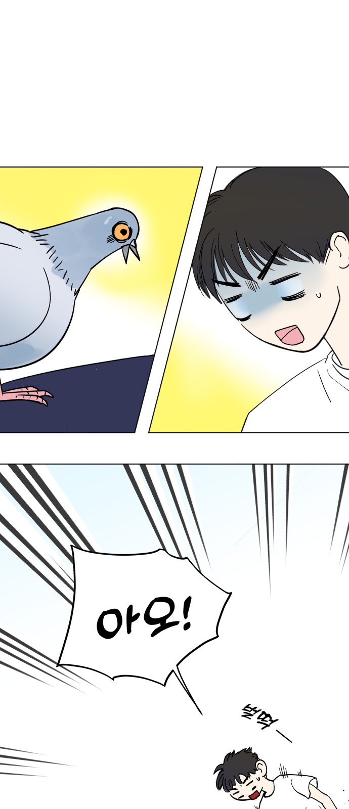 4 페이지