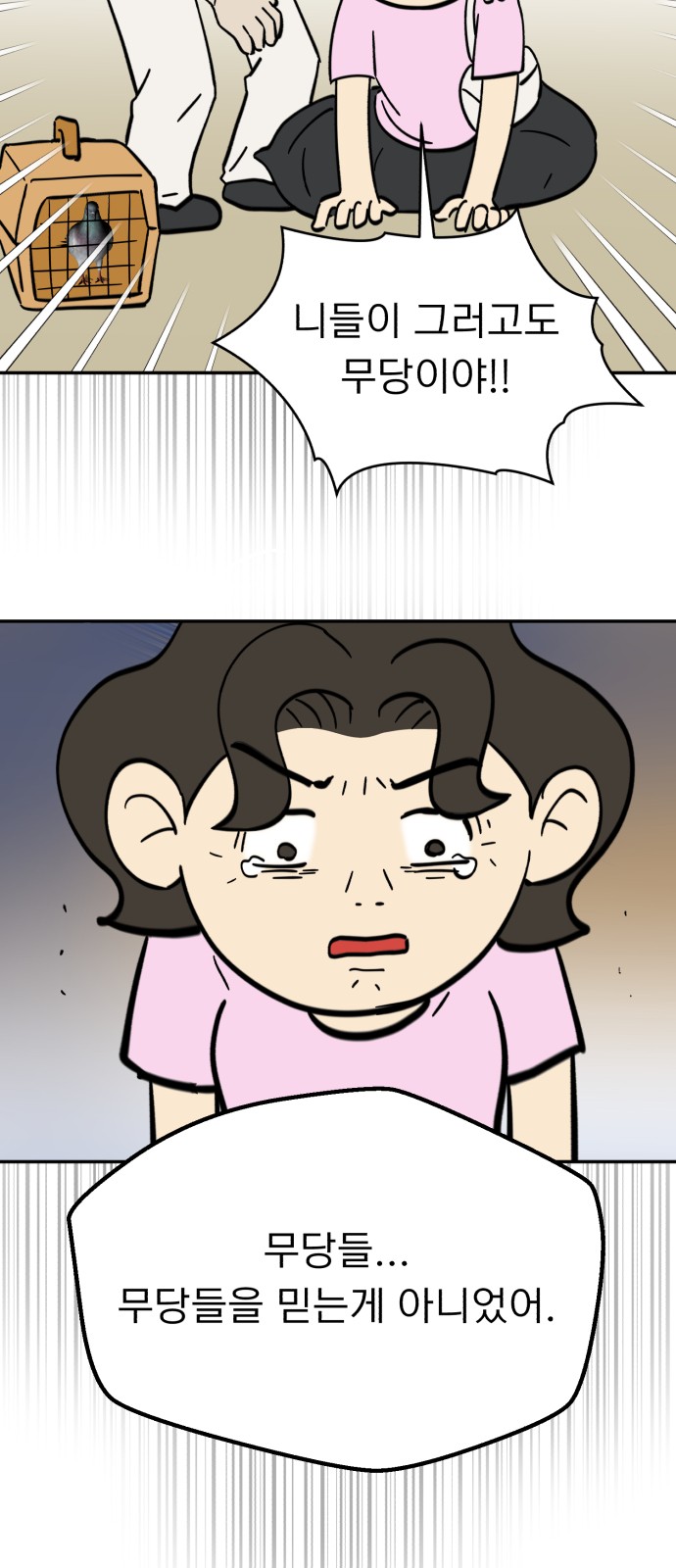 43 페이지