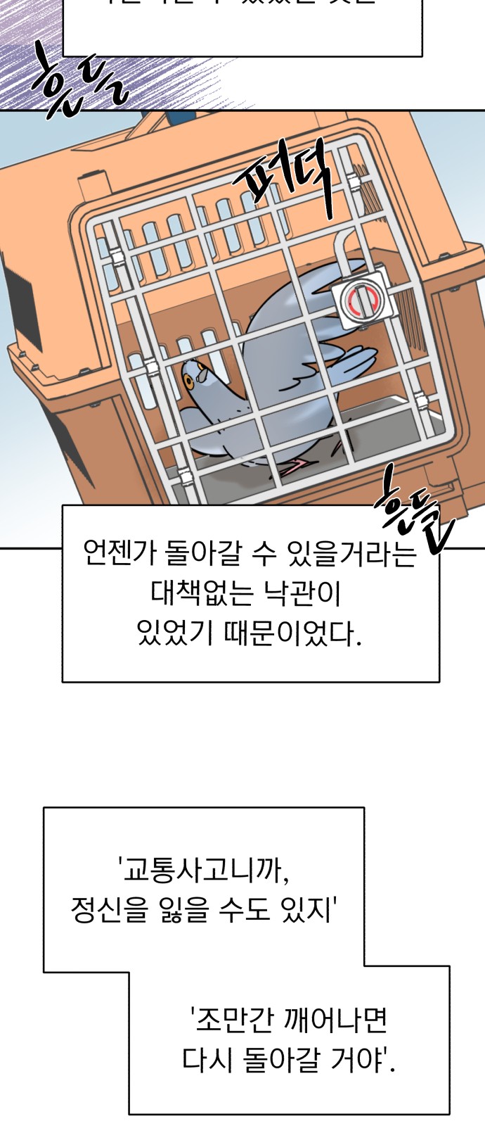 50 페이지