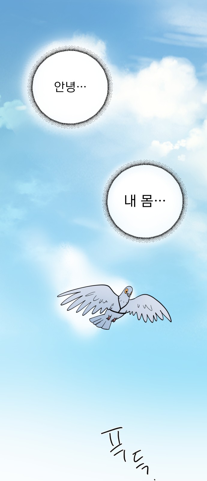 57 페이지