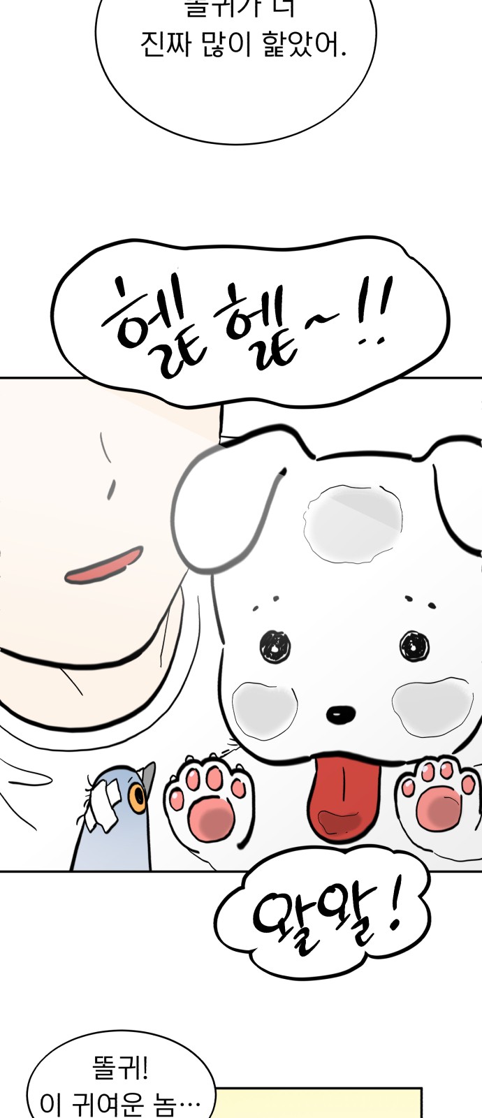 35 페이지