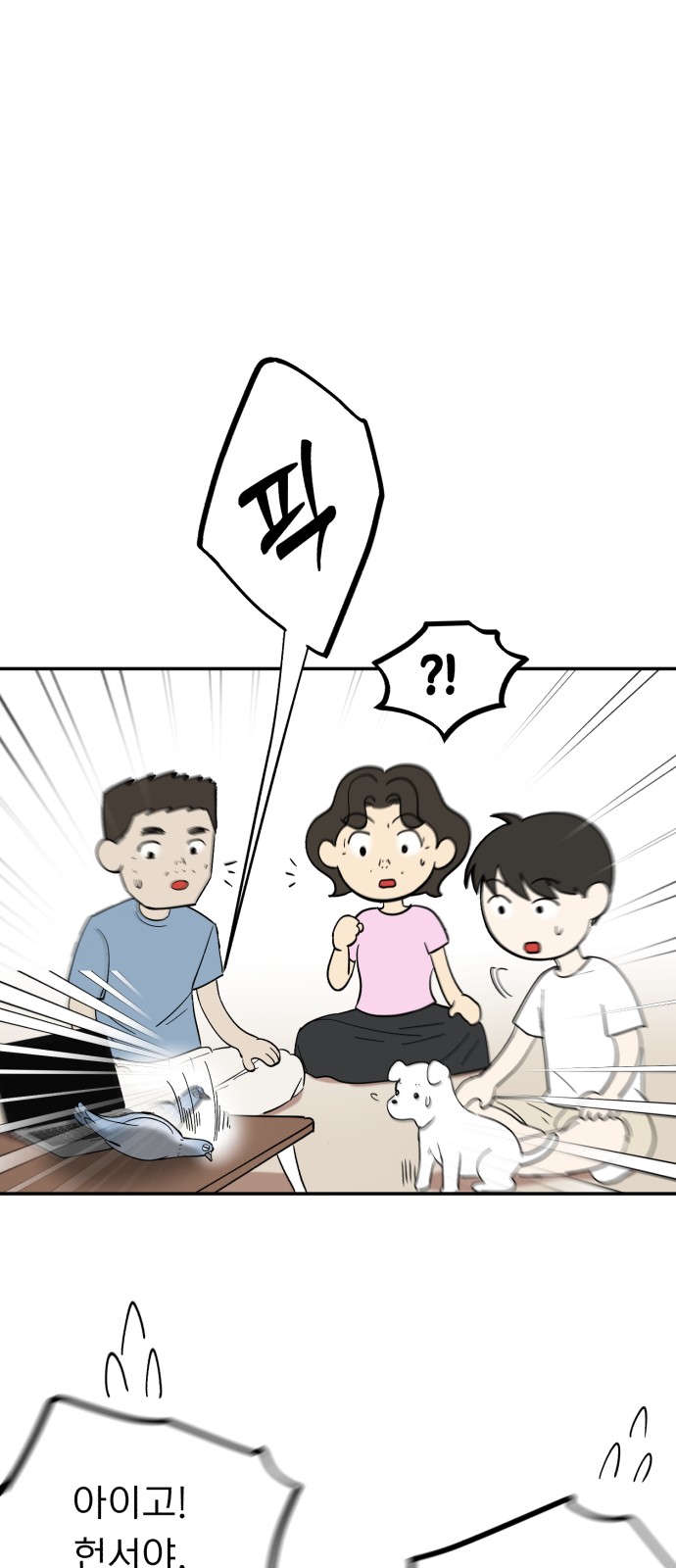 15 페이지