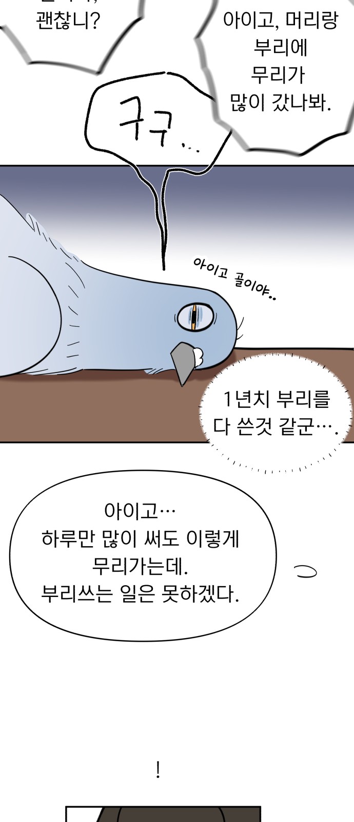 16 페이지