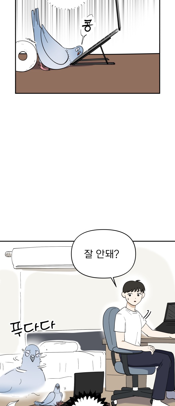33 페이지