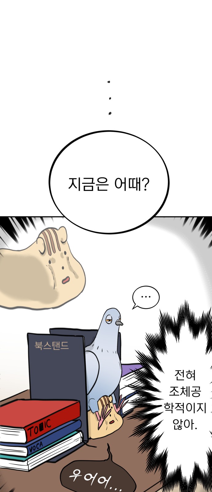 48 페이지