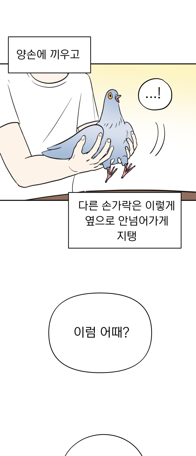 51 페이지