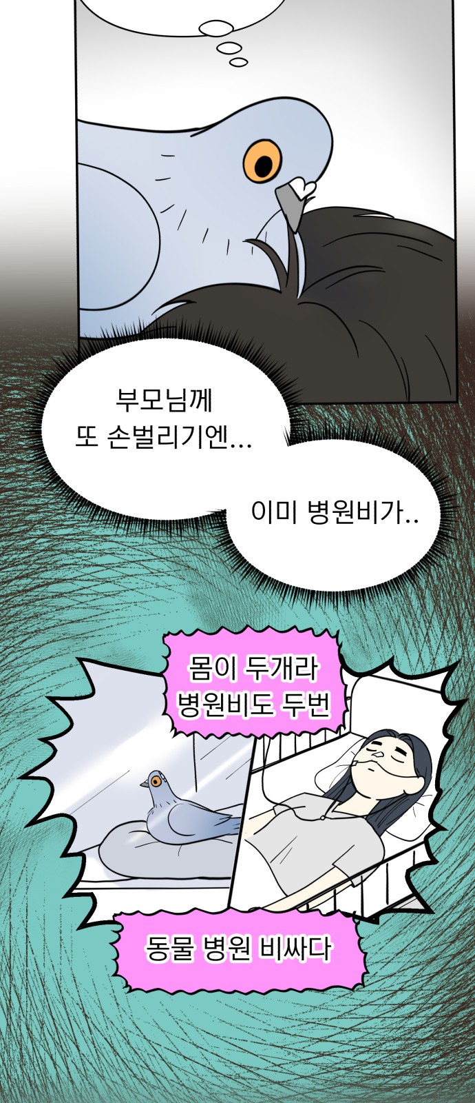 14 페이지