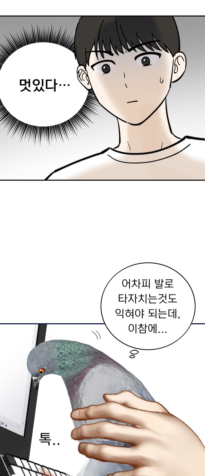 27 페이지