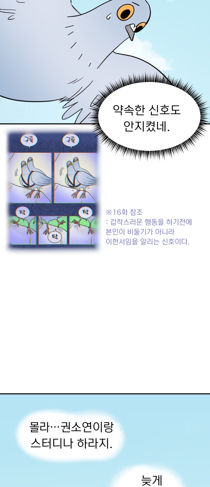 16 페이지